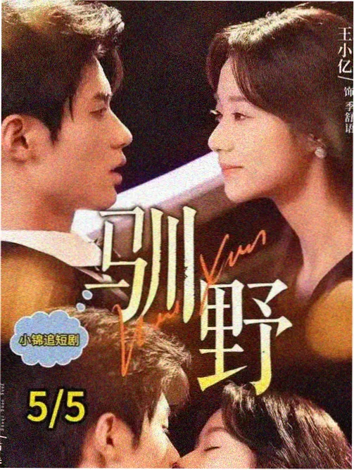 分类片库：都市情感剧《半格电》封面